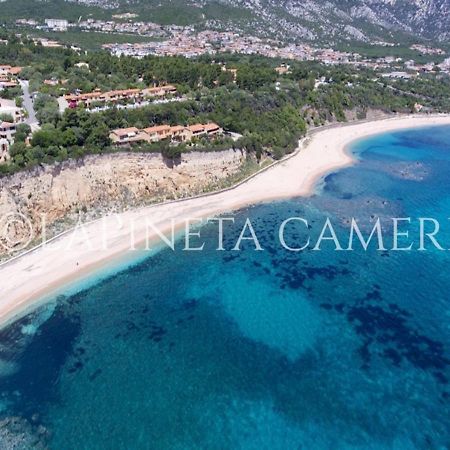 Casa Vacanza Gelsomino 卡拉古诺内 外观 照片