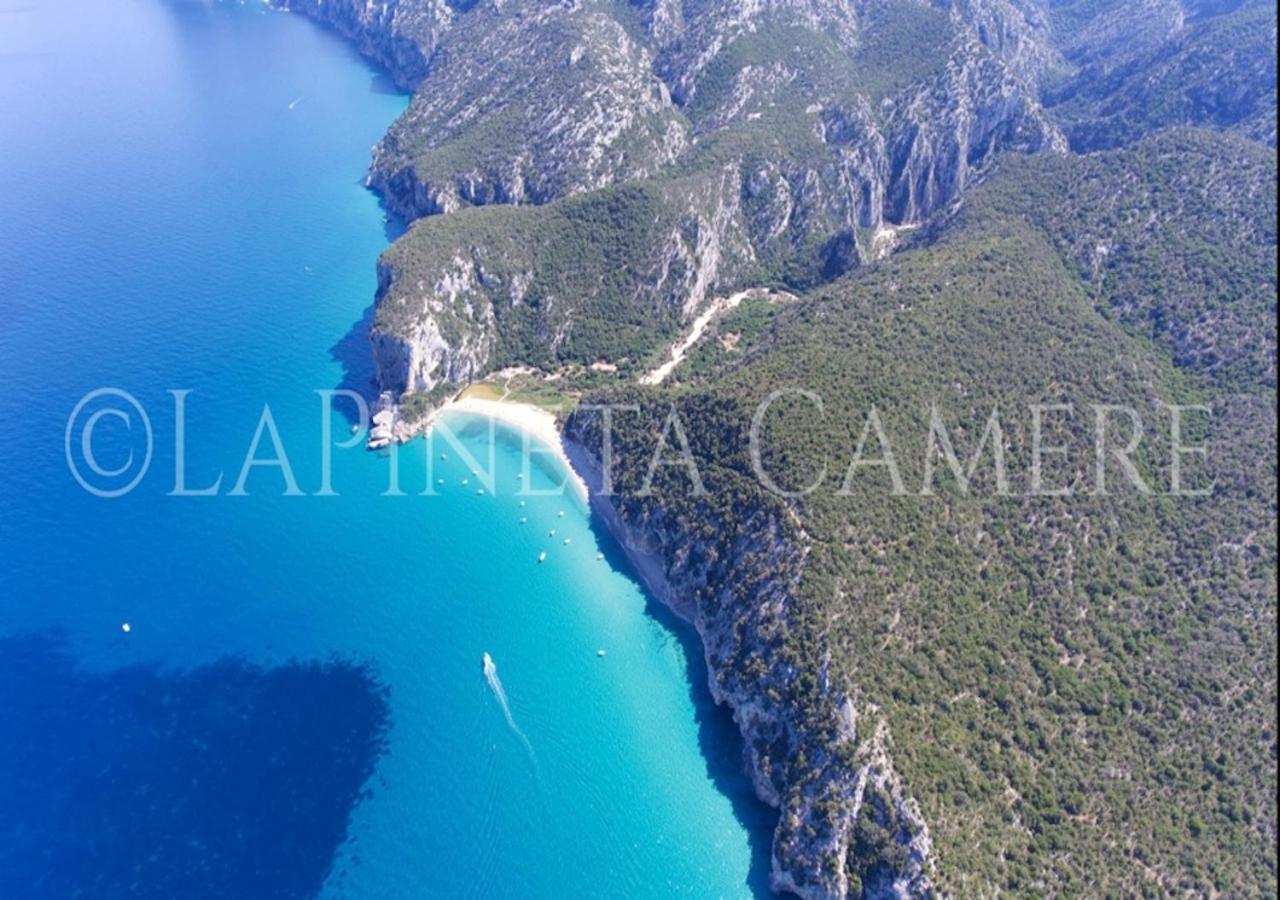 Casa Vacanza Gelsomino 卡拉古诺内 外观 照片